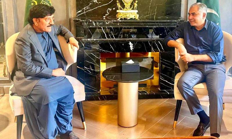 وفاقی وزیر داخلہ محسن نقوی سے صوبائی وزیر سندھ علی حسن زرداری کی ملاقات