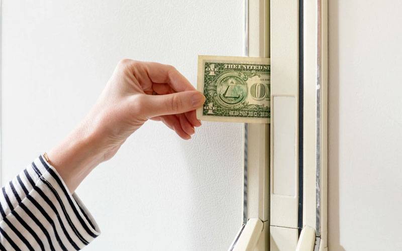 فریج میں ڈالر رکھنے کا ٹیسٹ, پیسوں کی بچت