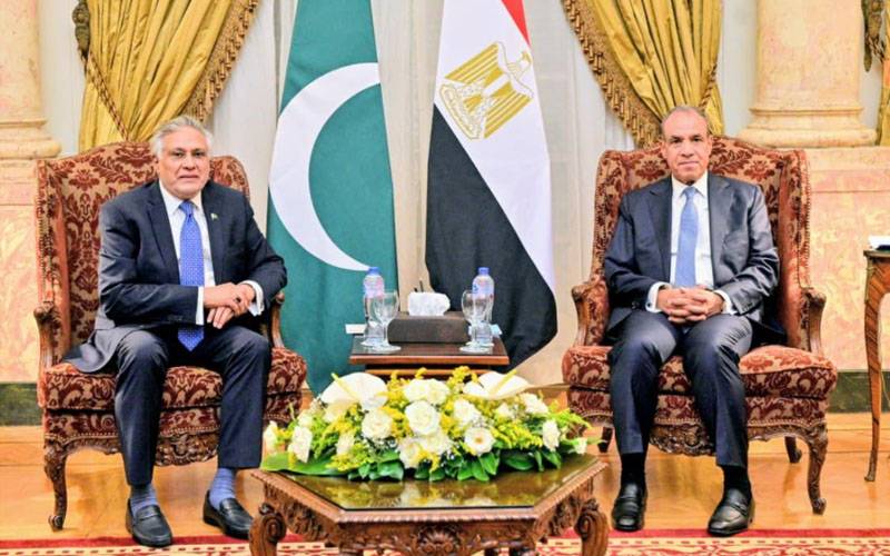 پاکستان اور مصر کے وزرائے خارجہ کی قاہرہ میں ملاقات، دوطرفہ تعلقات کے فروغ پر تبادلہ خیال