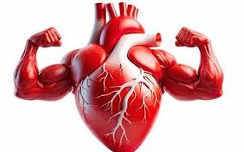 دل کو مضبوط رکھنا ہے تو یہ باتیں جان لیں