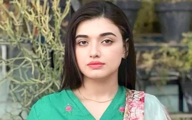 فلک جاوید کی درخواست ضمانت پرسماعت 9جولائی تک ملتوی