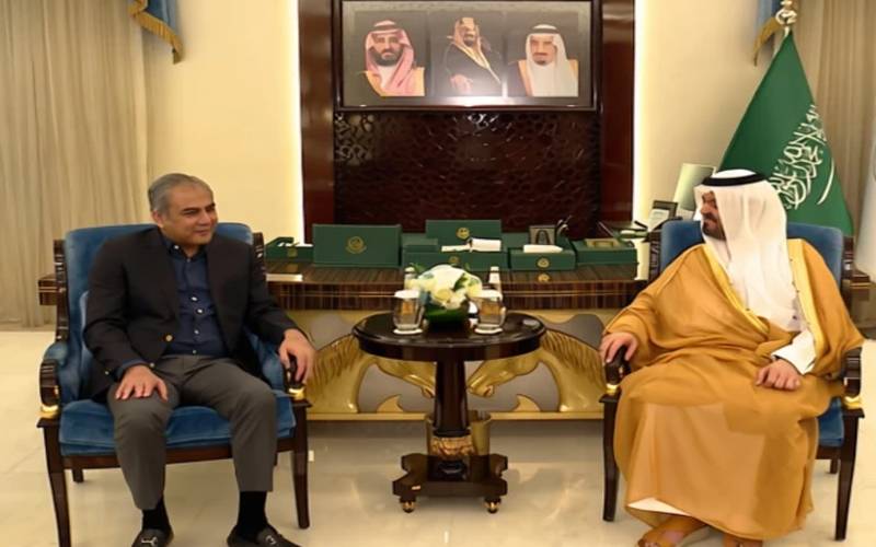 وزیر داخلہ محسن نقوی کی قائم مقام گورنر مکہ سے ملاقات، باہمی تعلقات کو مزید مضبوط بنانے کا اعادہ 