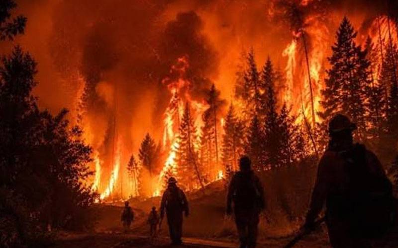  پرتگال میں آگ کا طوفان بے قابو،6 زخمی 