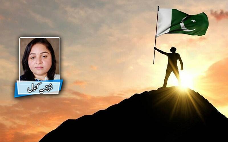 پاکستان جھکے گا نہیں!