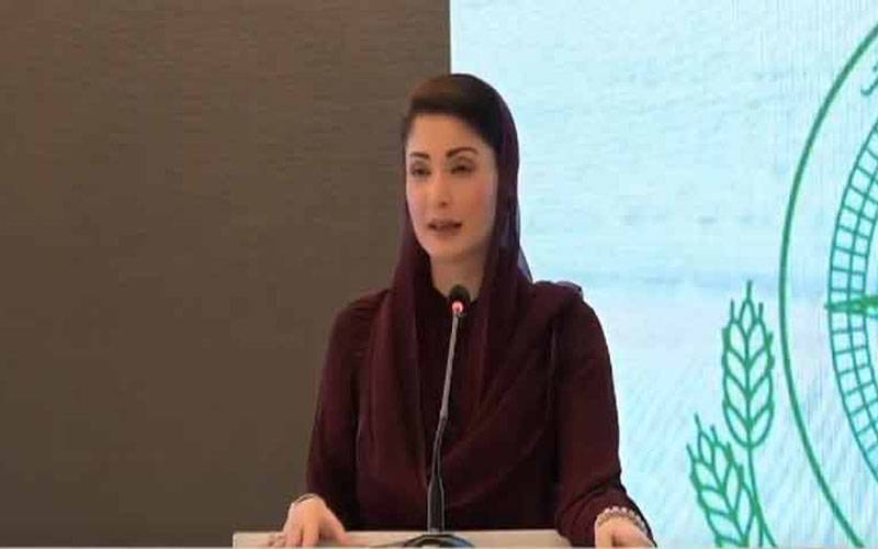 ’اپنا کھیت اپنا روزگار‘ سکیم کو مختصرعرصے میں حقیقت کی شکل دی: مریم نواز
