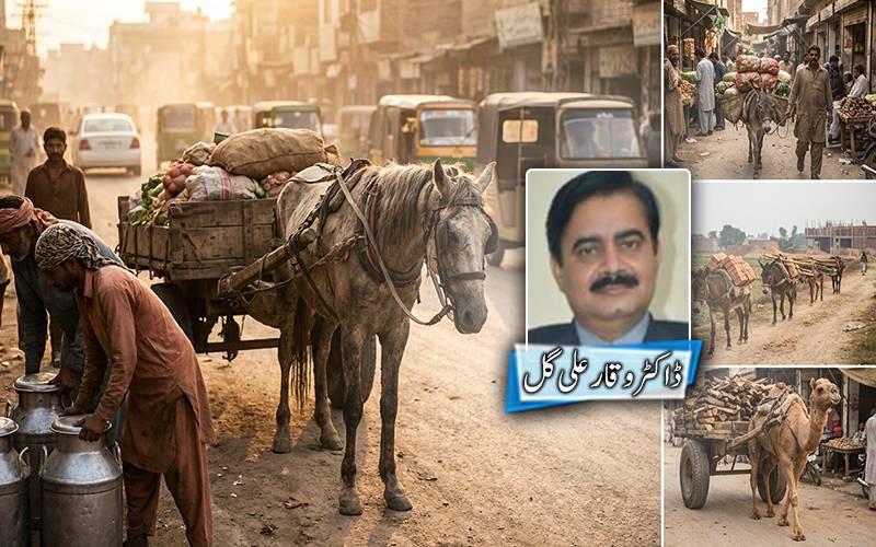 خاموش قدموں کی تھکن;گھوڑوں، گدھوں اور خچروں کے کندھوں پر چلتی معیشت کی ان کہی داستان