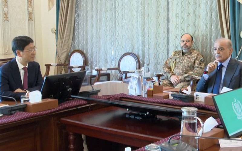 پاکستانی افرادی قوت کو اپنےمنصوبوں  کا حصہ بنائیں، وزیراعظم شہباز کا چینی کمپنی کے چیف ایگزیکٹو کو مشورہ