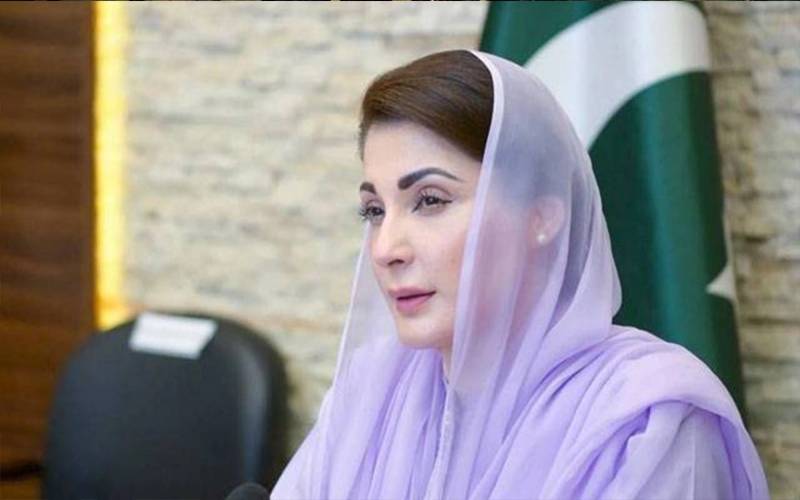 مریم نواز کا مقامی اور غیر ملکی سرمایہ کاروں کیلئے خصوصی مراعاتی پیکج کا اعلان
