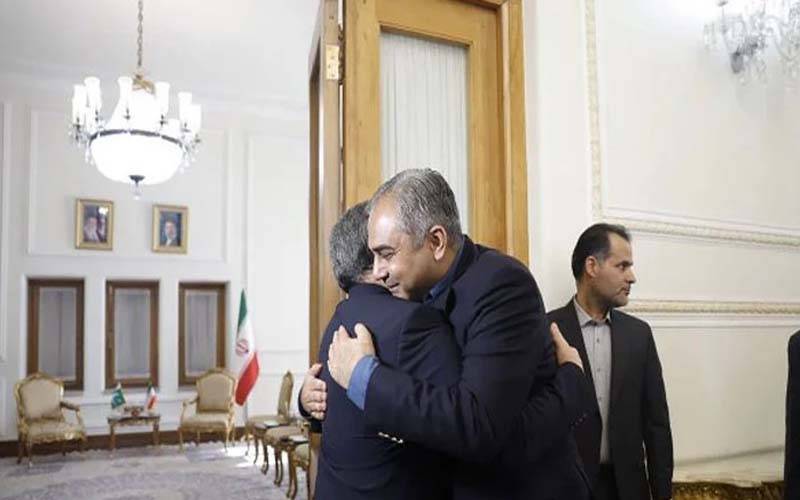 وزیر داخلہ محسن نقوی تہران پہنچ گئے