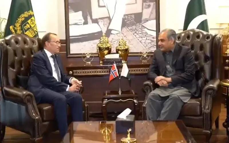 محسن نقوی اور ناروے کے وزیر خارجہ کی ملاقات ، غیر قانونی امیگریشن روکنے کیلئے تعاون پر اتفاق