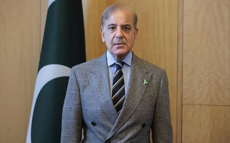 شہباز شریف کرغزستان کا دورہ مکمل کر کے پاکستان پہنچ گئے