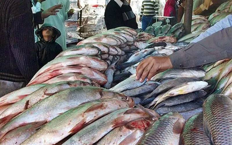 پاکستان :سمندری خوراک کی برآمدات میں تاریخی اضافہ ریکارڈ