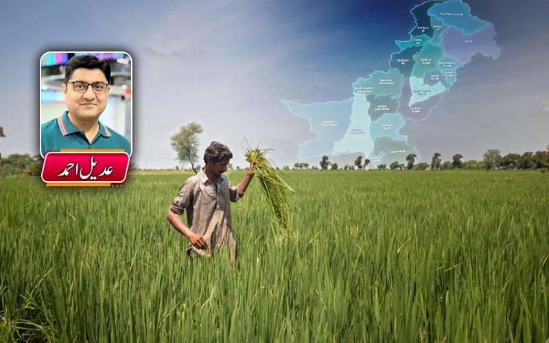 نئے صوبے کیوں ضروری ہیں؟ایک کہانی کاشتکار کی زبانی 