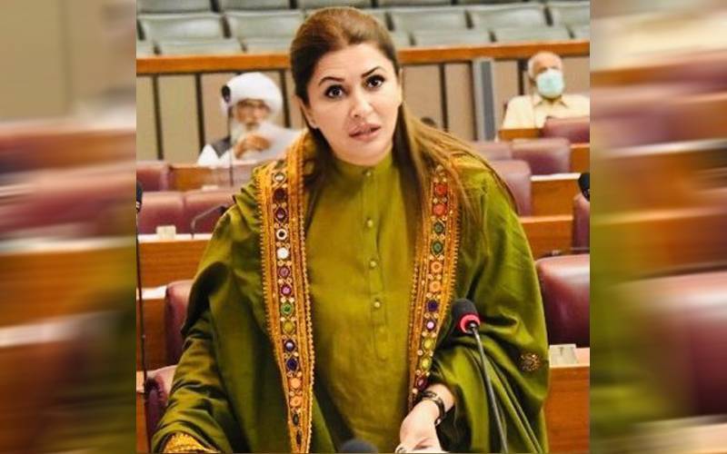 شاریہ مری کا حسن علی چاہنیو کے اغوا پر شدید اظہار تشویش