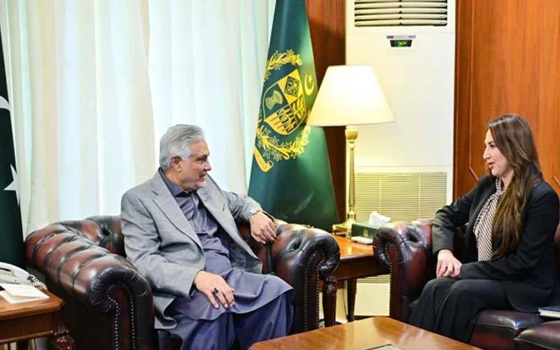 اسحاق ڈار سے امریکی ناظم الامور کی ملاقات، دو طرفہ تعاون، خطے کی صورتحال پر گفتگو