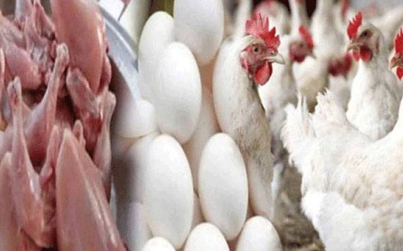 سرکاری نرخ نظر انداز،مرغی کے گوشت کی قیمتوں کو پھر پر لگ گئے