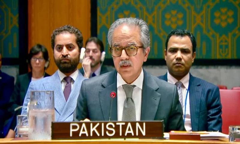 باب المندب میں تجارتی جہازوں و عملے پر حملے بند کیے جائیں: عاصم افتخار 