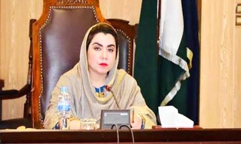 چوری کردہ 1252 آرٹیفیکٹس پاکستان کو واپس مل گئے ، قائمہ کمیٹی قومی ورثہ اجلاس میں انکشاف 