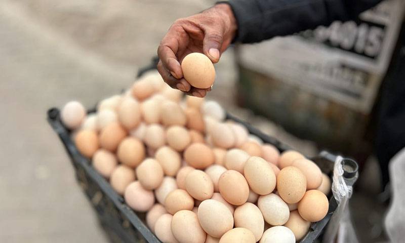  تازہ اور اچھی کوالٹی کے انڈوں کی پہچان کیسے کی جائے؟