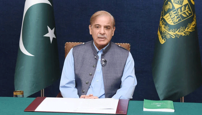 حکومت،بجلی صارفین،سبسڈی،فیصلہ،شہباز شریف،حمزہ شہباز