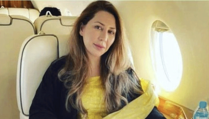 فرح گوگی،اینٹی کرپشن،سابق خاتون اول،تحقیقات،آغاز