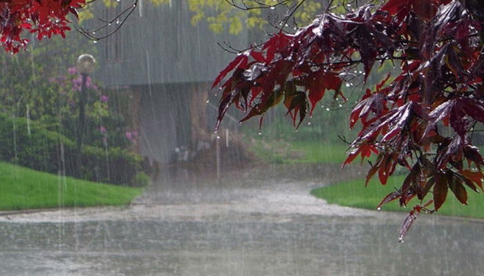 موسلادھار بارشیں،پنجاب،سندھ،محکمہ موسمیات،پیشگوئی