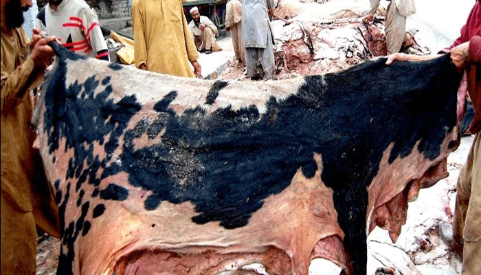 عیدالاضحی،سندھ حکومت،ضابطہ اخلاق،کالعدم تنظیمیں