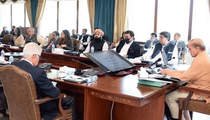 وفاقی کابینہ،سپریم کورٹ،تاریخی فیصلہ،وزیراعظم شہباز شریف،پیٹرول
