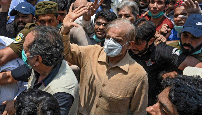 شہباز شریف،اثاثے منجمد ،احتساب عدالت،وکلا،دلائل طلب