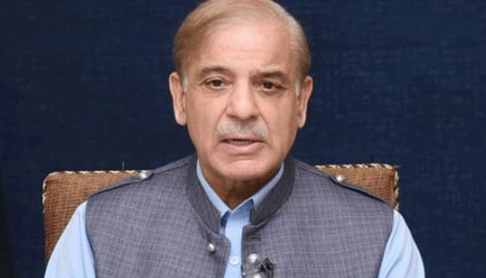 وزیراعظم شہباز شریف،منی لانڈرنگ کیس،حمزہ شہباز،فرد جرم