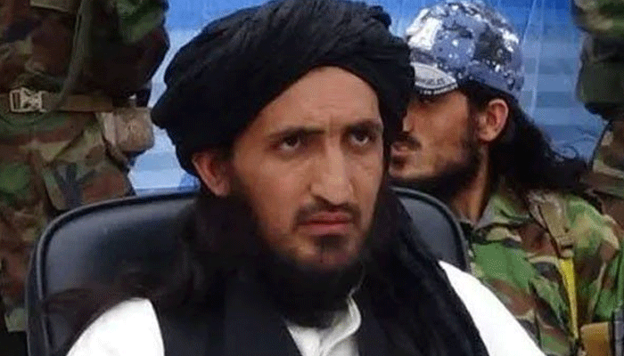 تحریک طالبا پاکستان،اہم کمانڈر افغانستان،بم دھماکہ،ہلاک