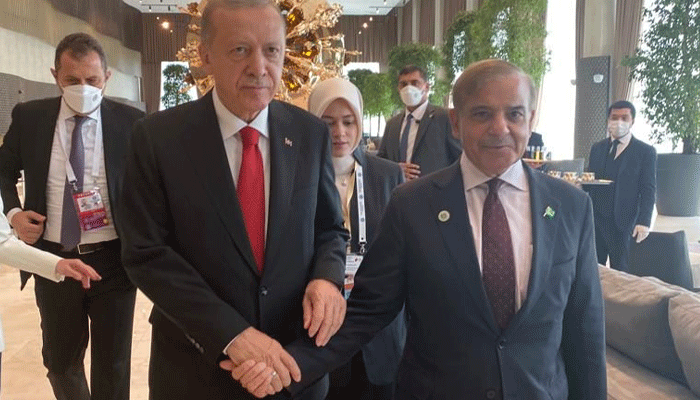 روس سے پائپ لائن کے ذریعے پاکستان کو گیس کی فراہمی کے منصوبے پر کام کرنے پر ترکیہ اور پاکستان کا اتفاق ہوگیا