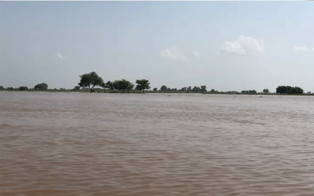 Satluj Flood, 24News 