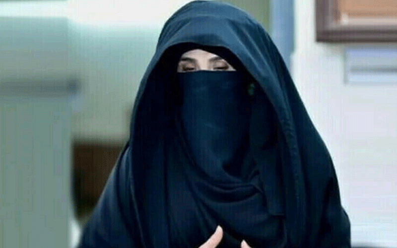  بشریٰ بی بی کیخلاف 29 مقدمات کا ریکارڈ پیش کرنے کا حکم