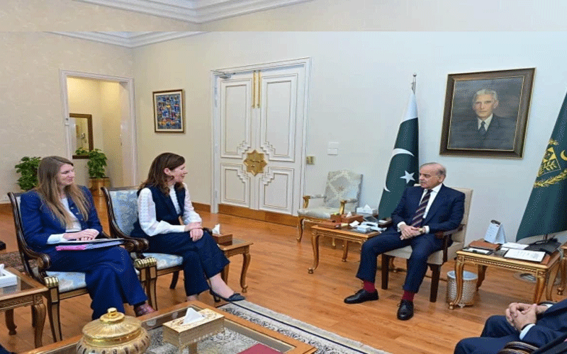 وزیراعظم سے برطانوی وزیربرائے بین الاقوامی ترقی و افریقہ کی ملاقات